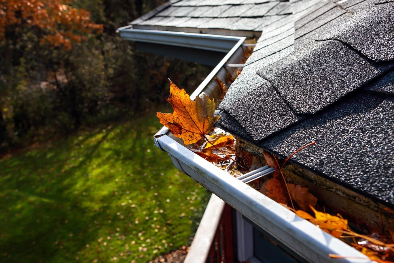 Gouttières obstruées, bloquées et bouchées par des feuilles et des débris qui doivent être nettoyés